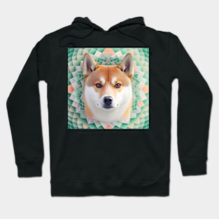 A Fractal Design of A Shiba Inu Hoodie